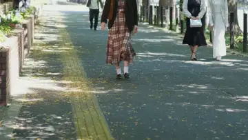 Задник к сериалу "じゃあ、あんたが作ってみろよ" #1504014