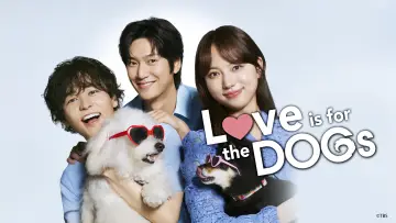 Задник к сериалу "初恋DOGs" #1506348