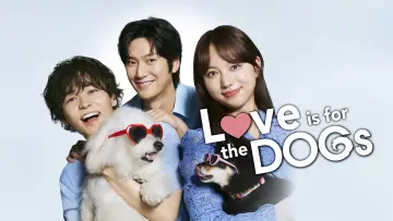 Задник к сериалу "初恋DOGs" #1694406