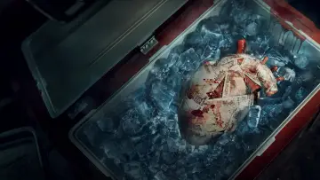 Задник к сериалу "Хирург" #1560606