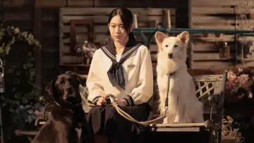 Задник к сериалу "ぼくたちん家" #1875558