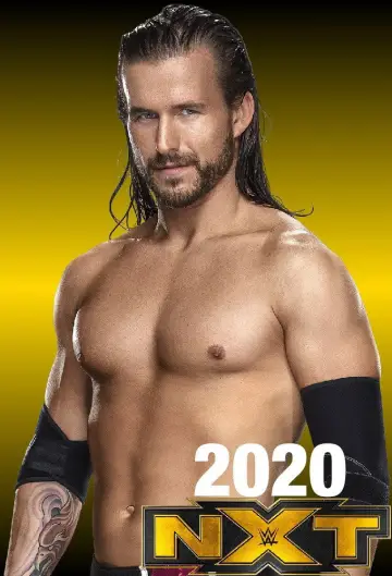 Постер к сериалу "WWE NXT" #1245582