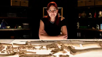 Задник к сериалу "Digging for Britain" #1552476
