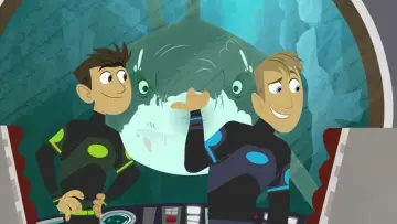 Задник к сериалу "Wild Kratts" #1334857