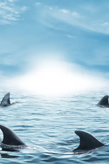 Постер к сериалу "Shark Tank" #1305261