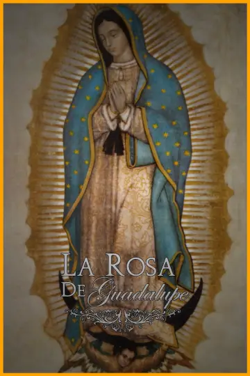 Постер к сериалу "Роза Гваделупе" #1315761