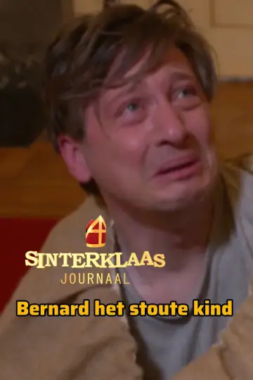 Постер к сериалу "Sinterklaasjournaal" #1689283