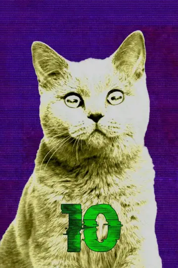 Сезон 10