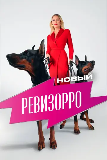 Новый Ревизорро постер