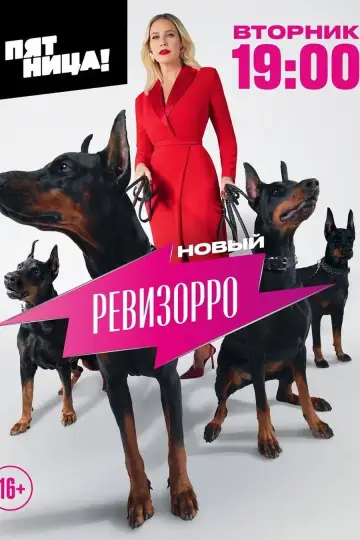 Постер к сериалу "Новый Ревизорро" #1229081