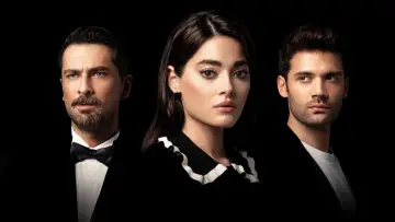 Задник к сериалу "Незнакомец в зеркале" #1490492