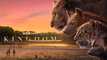 Задник к сериалу "Королевство" #1473585