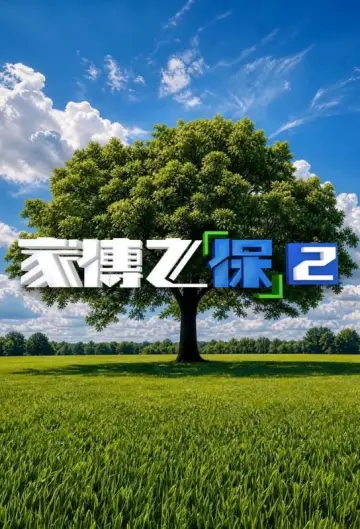 家傳之「保」 постер