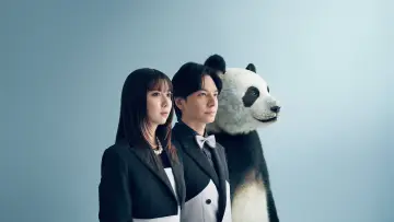 Задник к сериалу "パンダより恋が苦手な私たち" #1547313