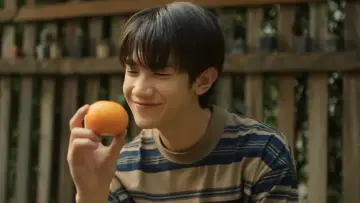Задник к сериалу "Когда падают апельсины" #1477795