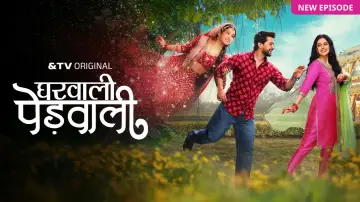 Задник к сериалу "Gharwali Pedwali" #1513633