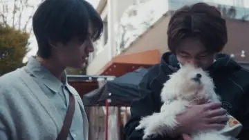 Задник к сериалу "コントラスト" #1499349