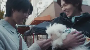 Задник к сериалу "コントラスト" #1499355