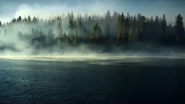 Задник к сериалу "Динозавры" #1408396