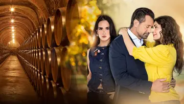Задник к сериалу "Золотое сердце" #1451879