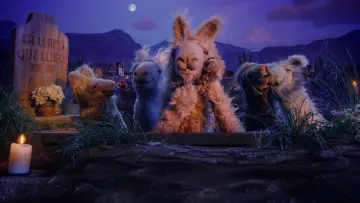 Задник к сериалу "La Llama que Llama: La Serie" #1556434