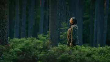 Задник к сериалу "Braunschlag 1986" #1483408