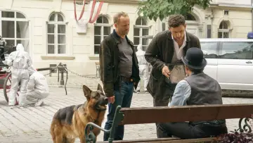 Задник к сериалу "Комиссар Рекс. Вена зовёт" #1550309