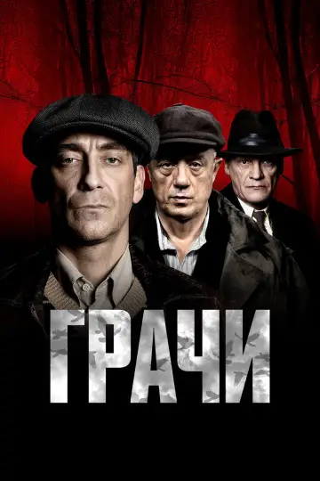 Грачи постер