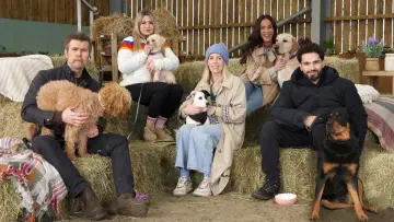 Задник к сериалу "Wagging Rights" #1667682