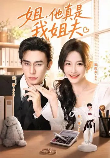 姐，他真是我姐夫 постер