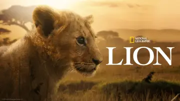 Задник к сериалу "Лев" #1228727