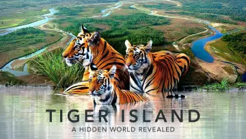 Задник к сериалу "Tiger Island" #1602699