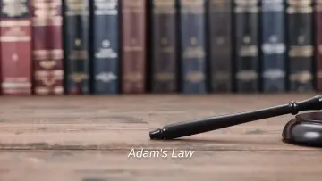 Задник к сериалу "Adam