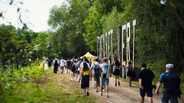 Задник к сериалу "Cabaret Vert" #1562984