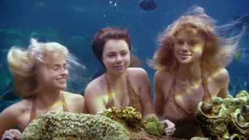 Задник к сериалу "Тайны острова Мако" #1405546