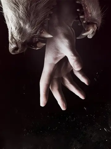 Постер к сериалу "Хемлок Гроув" #1378951