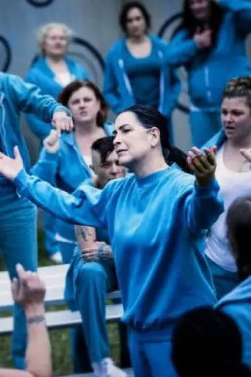 Постер к сериалу "Вентворт" #1354898