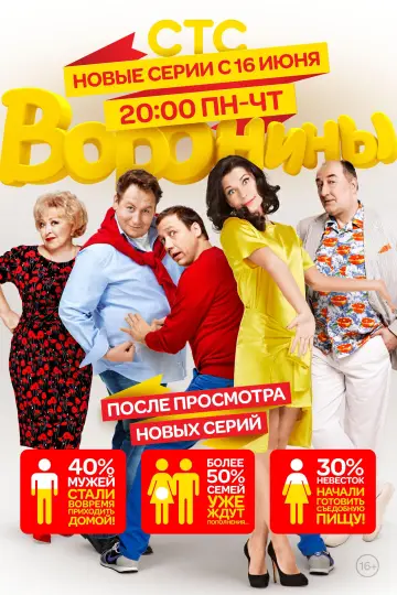 Воронины постер