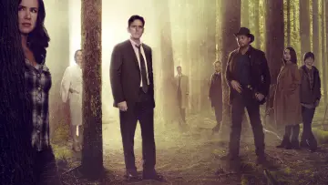 Задник к сериалу "Сосны" #1393397
