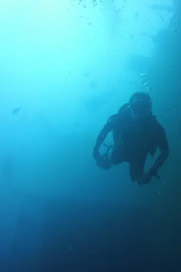 Постер к сериалу "Bering Sea Gold" #1492361