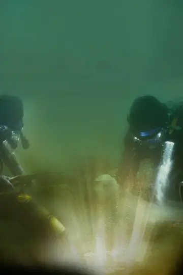 Постер к сериалу "Bering Sea Gold" #1492367