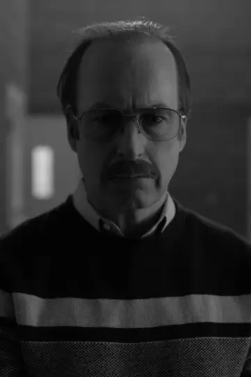 Постер к сериалу "Лучше звоните Солу" #1269656