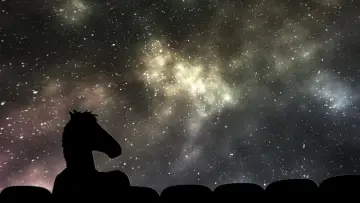 Задник к сериалу "Конь БоДжек" #1295075
