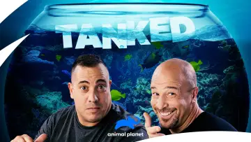 Задник к сериалу "Аквариумный бизнес" #1539981