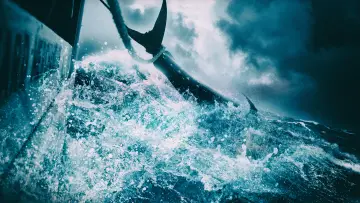 Задник к сериалу "Wicked Tuna" #1357112
