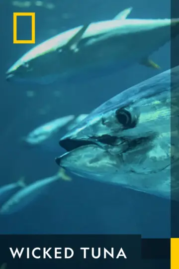 Постер к сериалу "Wicked Tuna" #1357135