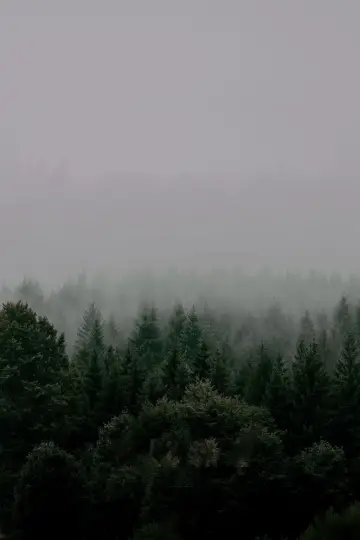 Постер к сериалу "В изоляции" #1272283