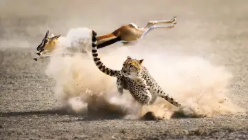 Задник к сериалу "The Hunt" #1800894