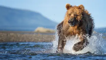 Задник к сериалу "The Hunt" #1800897