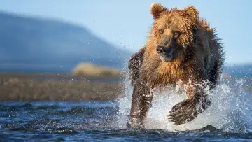 Задник к сериалу "The Hunt" #1800901